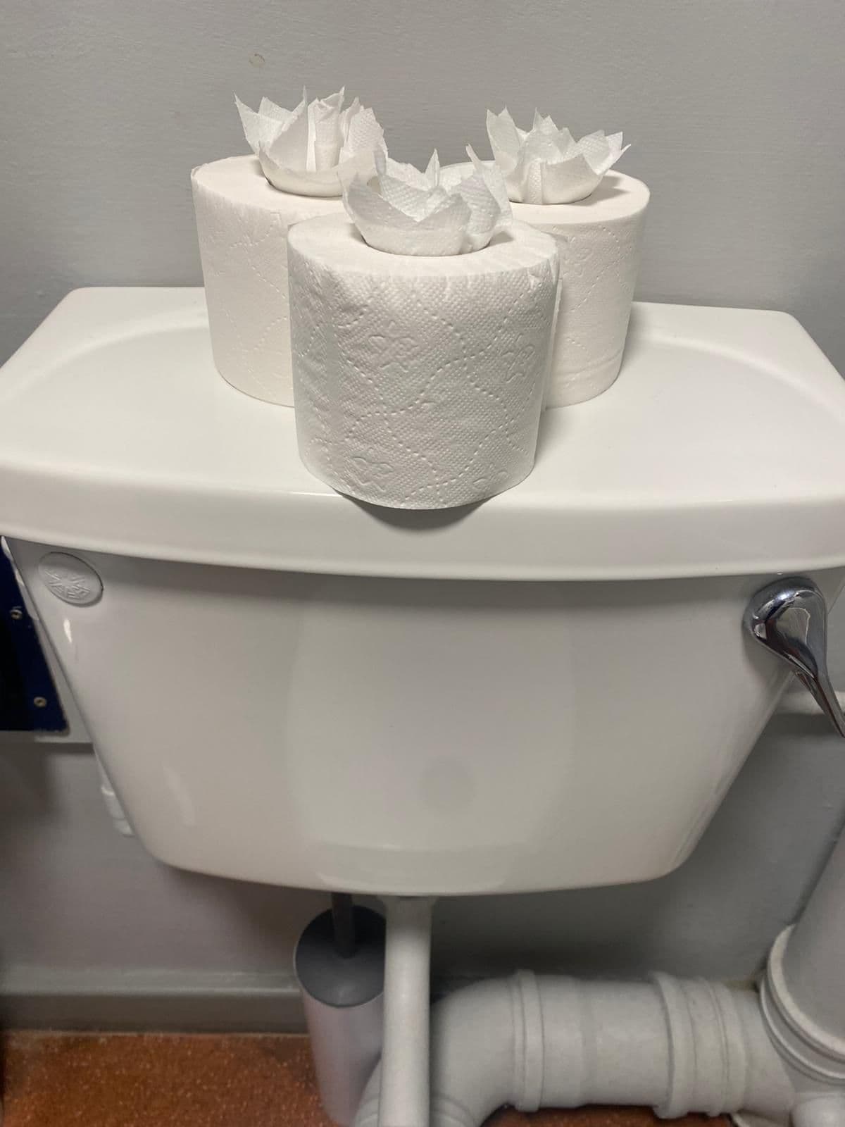 Detail of commercial bathroom and toilet cleaning